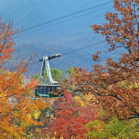 Cajun Hideaway Holiday Home Gatlinburg Exterior foto